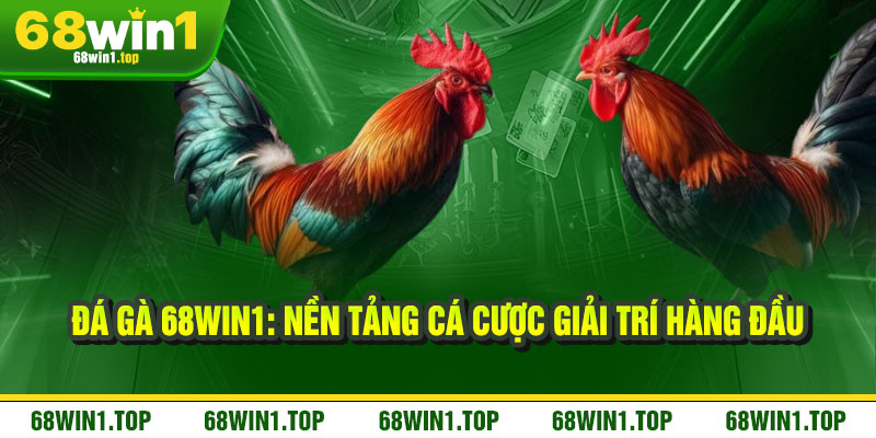 Đá Gà 68Win1 - Sát phạt đỉnh cao, thắng lớn rực lửa 1 Đá Gà 68Win1: Nền tảng cá cược giải trí hàng đầu
